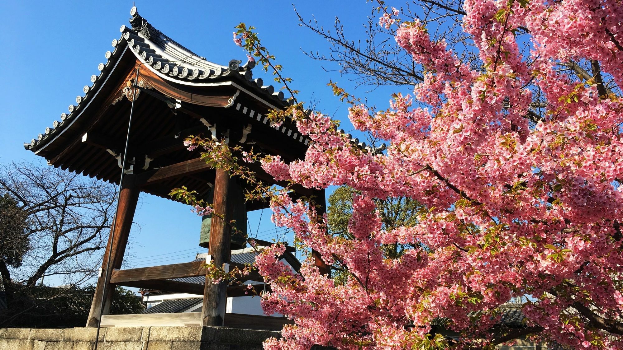 Stay Sakura Kyoto Toji West I エクステリア 写真