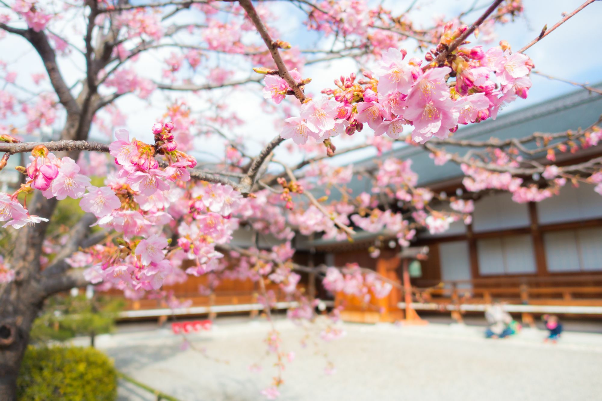 Stay Sakura Kyoto Toji West I エクステリア 写真